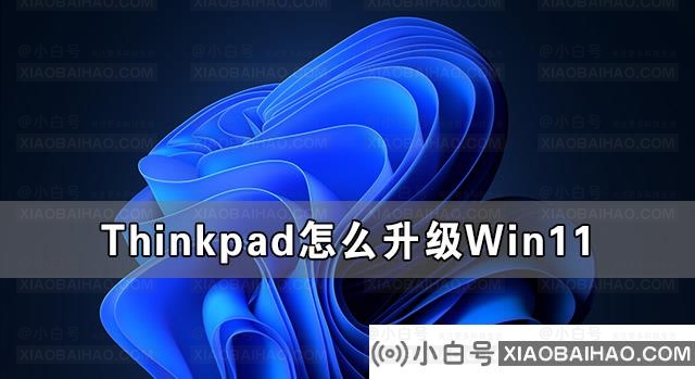 Win11镜像安装失败怎么办 Win11安装失败最全解决办法汇总