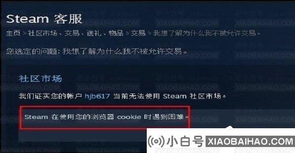 蒸汽打开市场提示。使用你的浏览器cookie遇到困难怎么办？(解决Steam在使用您的浏览器cookie时遇到的困难)插图5