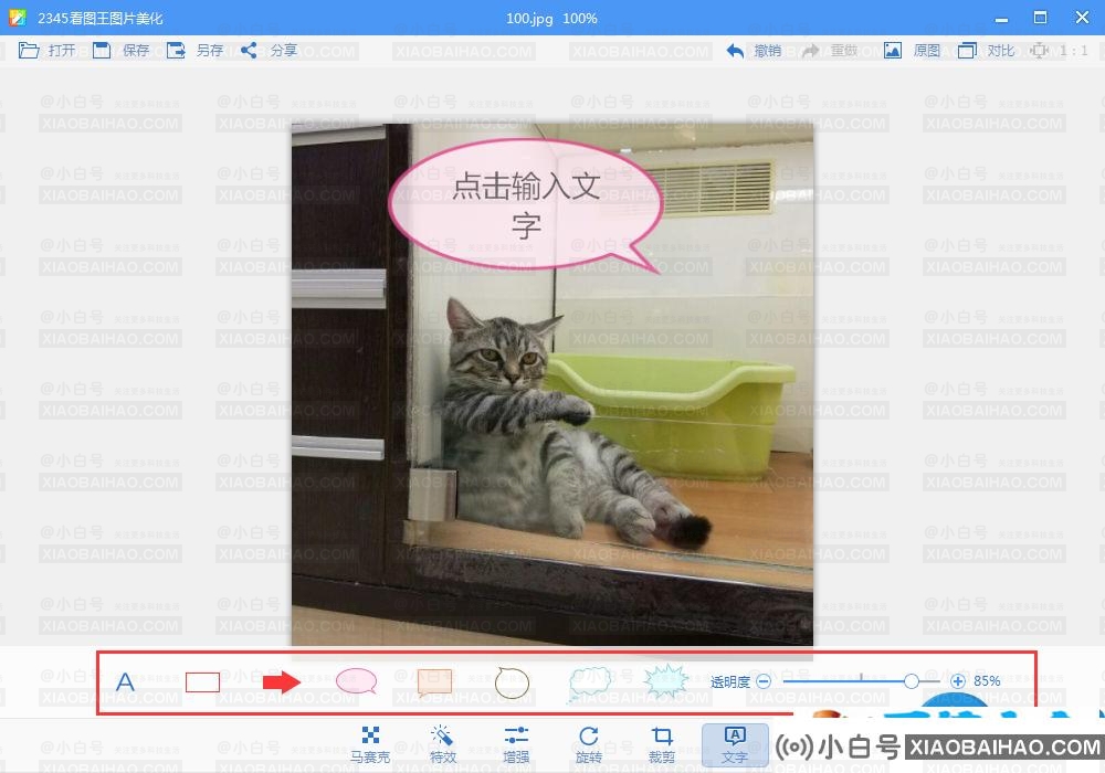 2345看图王如何添加文字？2345看图王给图片添加文