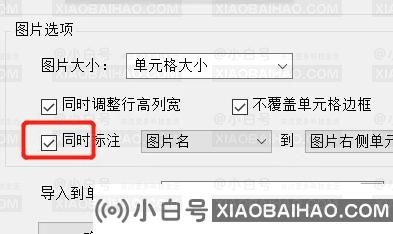 Excel表格怎么批量导入图片？Excel导入多张图片教程