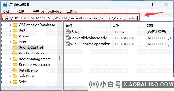 Win11文件复选框没有打开但还是会显示是怎么回事？