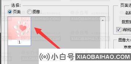 AI文件用什么软件才能打开？AI文件打开正确方法