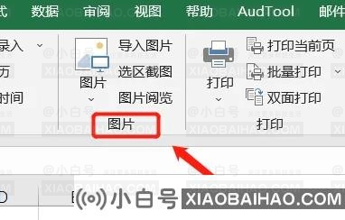 Excel表格怎么批量导入图片？Excel表格批量导入图片方法