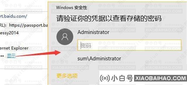 windows11系统账户名和密码怎么看？