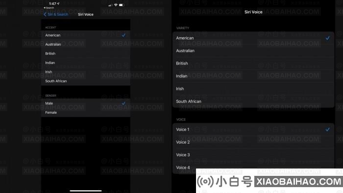 iOS 14.5不再默认为女性语音 英语Siri新增两种声音