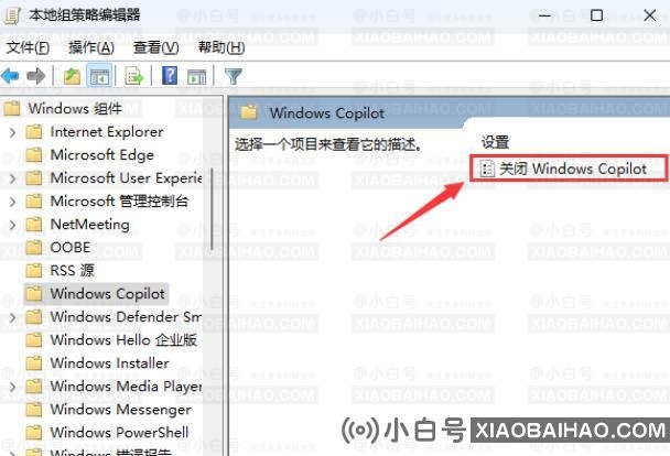 win11怎么彻底关闭Windows Copilot？win11完全关闭Windows Copilot方法介绍