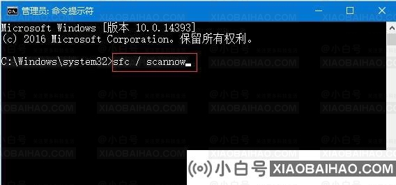 Win10不显示文件名怎么办?Win10不显示文件名解决方法