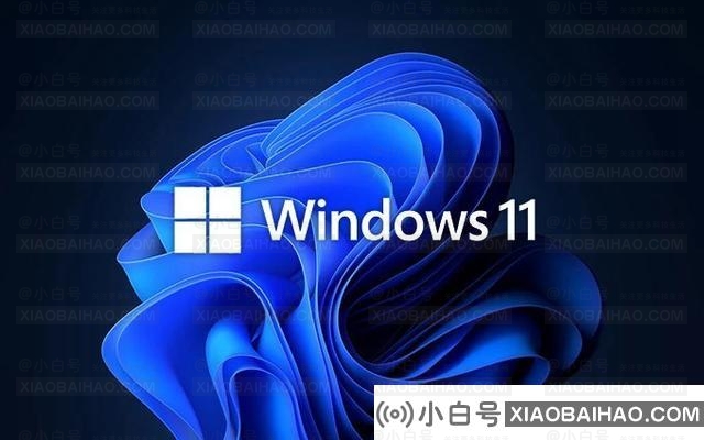 Win11一共有几个版本？Windows 11不同版本的区别有哪些？