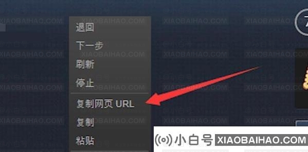 Steam如何检查profile链接？(如何找到steam个人链接)插图2