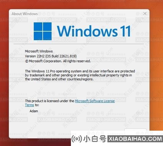 Win11 22H2中怎么使用实时字幕Live Captions功能？