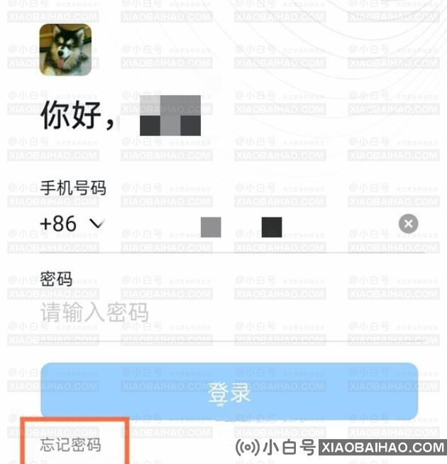 钉钉登录不了怎么办？钉钉登录不了解决方法