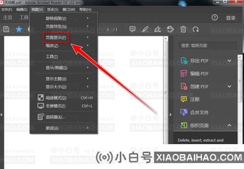 Adobe Acrobat Reader DC如何开启双页模式？