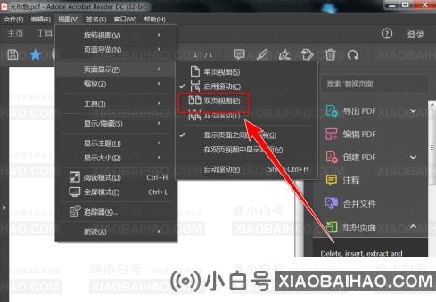 Adobe Acrobat Reader DC如何开启双页模式？