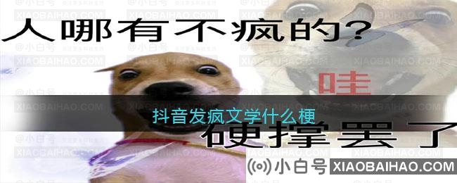 抖音发疯文学梗是啥意思？抖音发疯文学梗出处及含义介绍