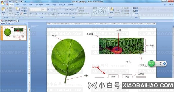 PPT如何制作结构图？PPT制作结构图教程