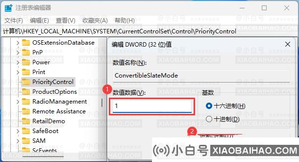 Win11文件复选框没有打开但还是会显示是怎么回事？