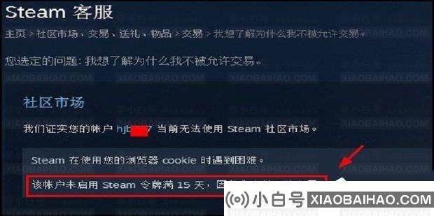 蒸汽打开市场提示。使用你的浏览器cookie遇到困难怎么办？(解决Steam在使用您的浏览器cookie时遇到的困难)插图