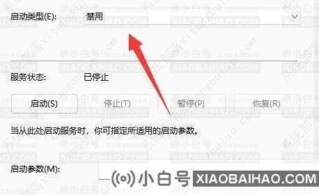 微软win11更新怎么永久关闭？微软win11更新永久关闭教程