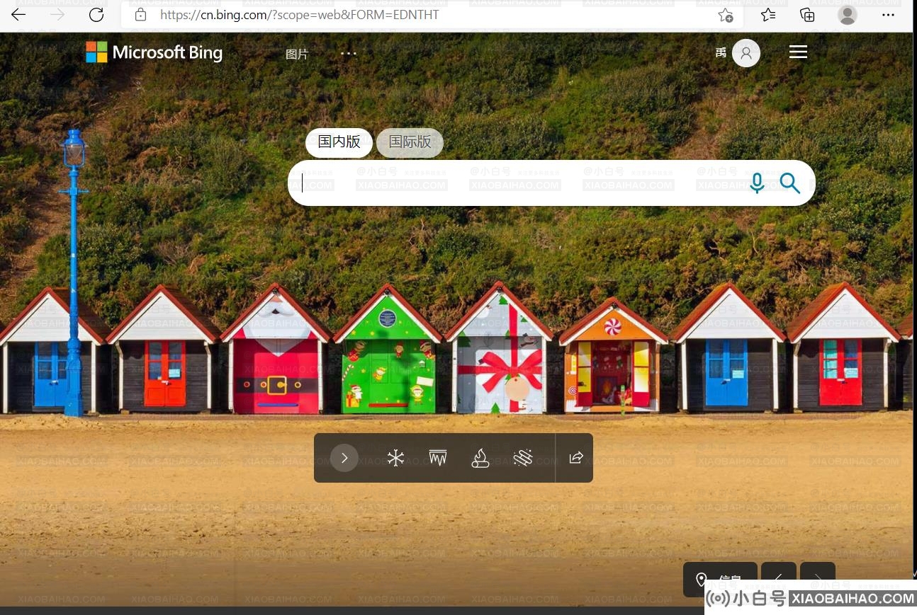 浏览器必应搜索用不了怎么办？（Google、Edge）