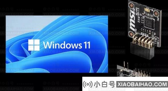 Win11系统怎么查询tpm版本？Win11系统查询tpm版本方法