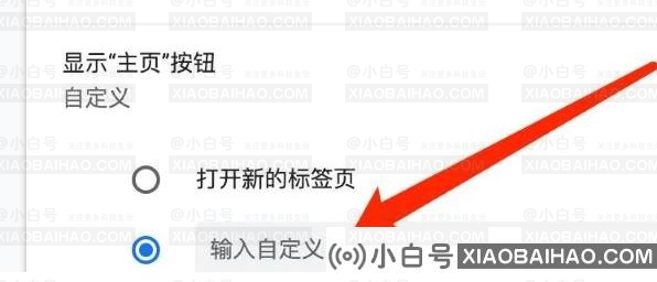 谷歌浏览器怎么自定义主页网址？谷歌浏览器自定义主页网址方法