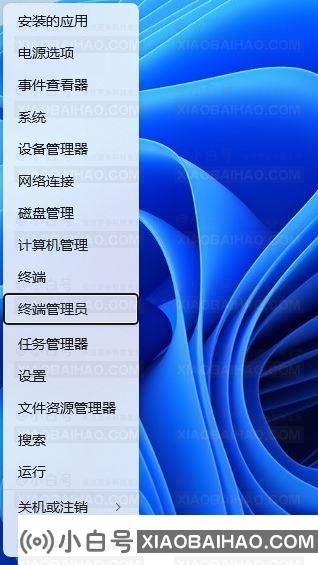 Win11小图标不显示怎么办？Win11文件夹中小图标空白解决办法