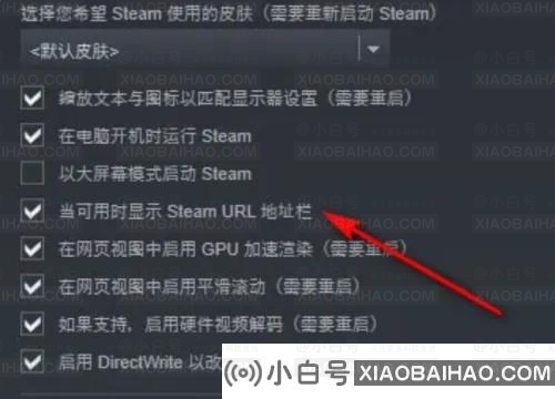 steam内置浏览器怎么输入网址?