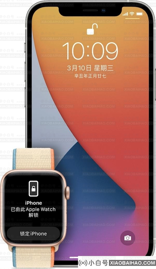 苹果iOS/iPadOS 15.1 开发者预览版Beta4发布