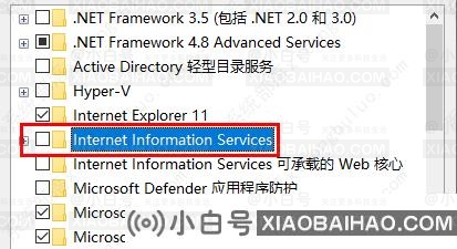 Win10系统iis怎么打开？iis打开方法介绍