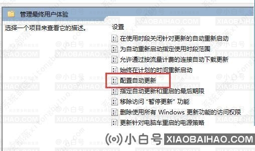 微软win11更新怎么永久关闭？微软win11更新永久关闭教程