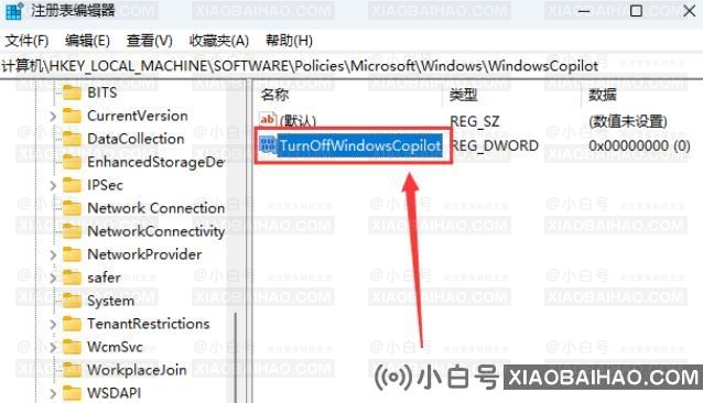 win11怎么彻底关闭Windows Copilot？win11完全关闭Windows Copilot方法介绍