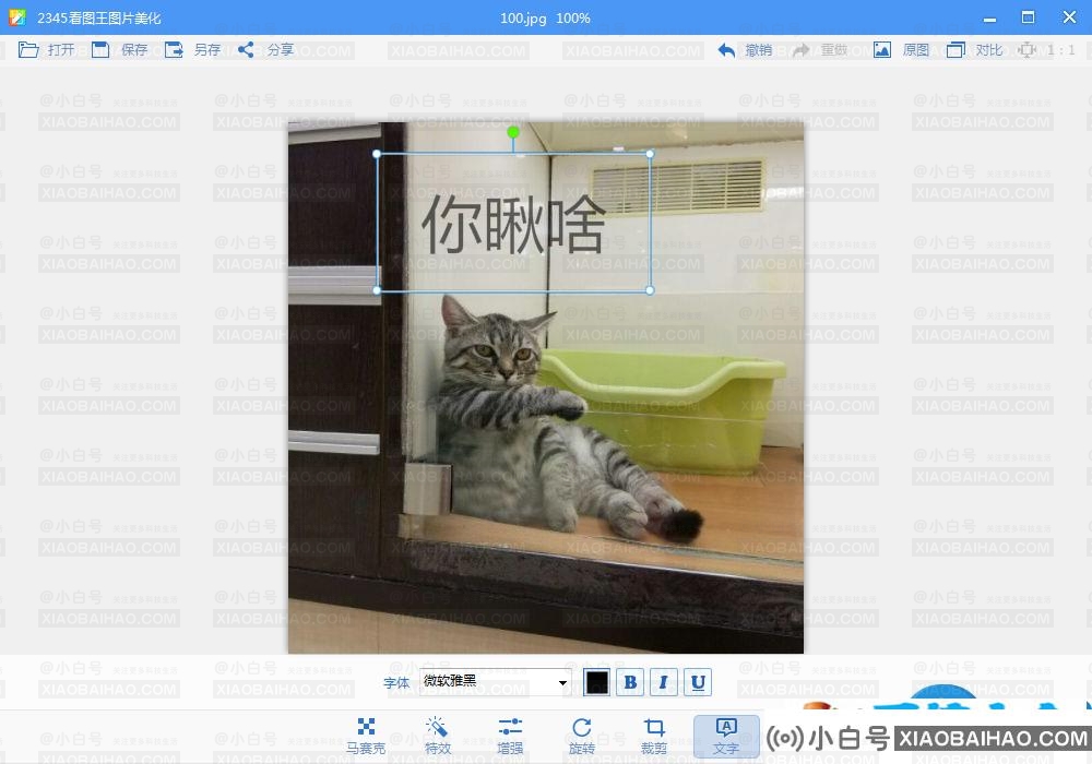2345看图王如何添加文字？2345看图王给图片添加文