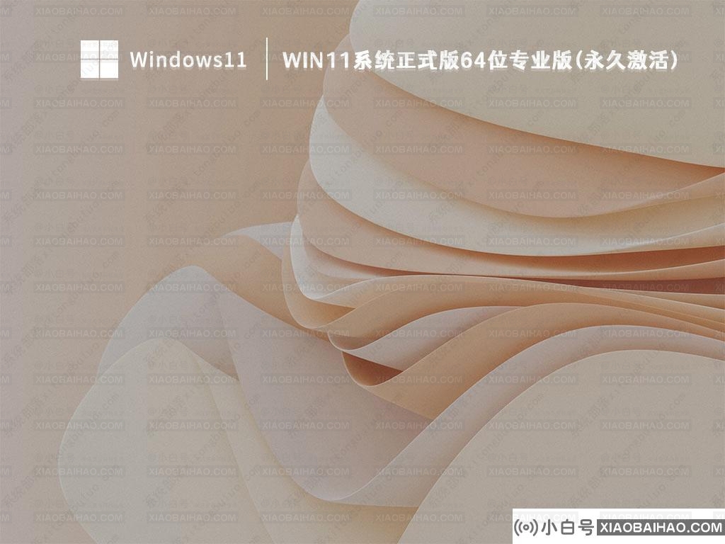 Win11下载_Win11系统正式版64位专业版(永久激活)