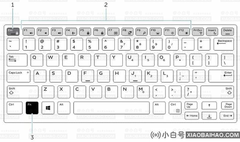 戴尔笔记本电脑数字键盘怎么解锁？戴尔笔记本电脑数字键盘解锁方