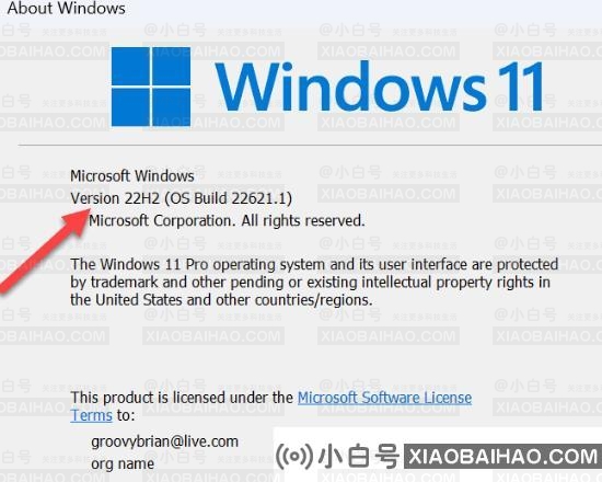 Win11系统如何启用桌面贴纸？Win11系统启用桌面贴纸的步骤