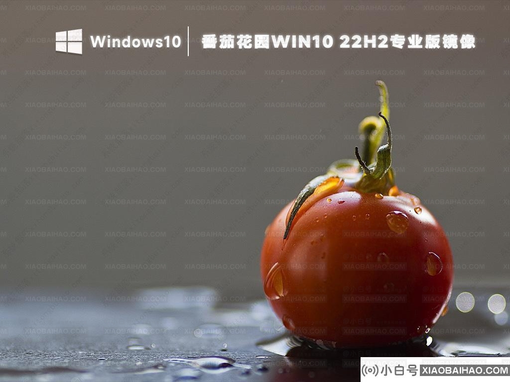 番茄花园win10系统22h2专业版镜像ghost文件(纯净免激活)