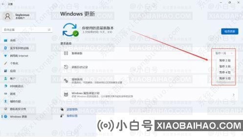 win11关闭自动更新怎么关？看完这几种方法你就会了！