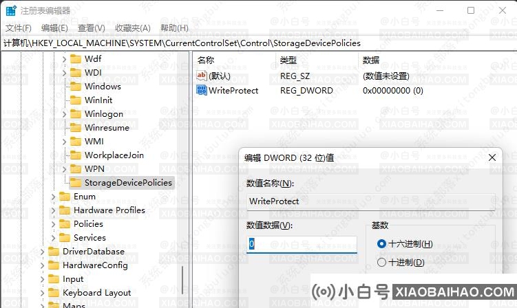 windows11磁盘被写保护怎么解除？