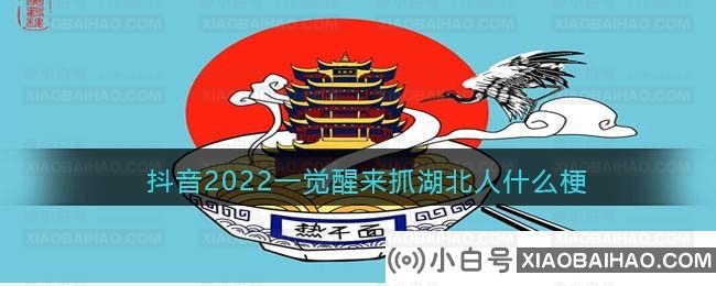 抖音2022一觉醒来抓湖北人梗出处及含义介绍